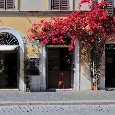 Sweetstay In Vatican Rome